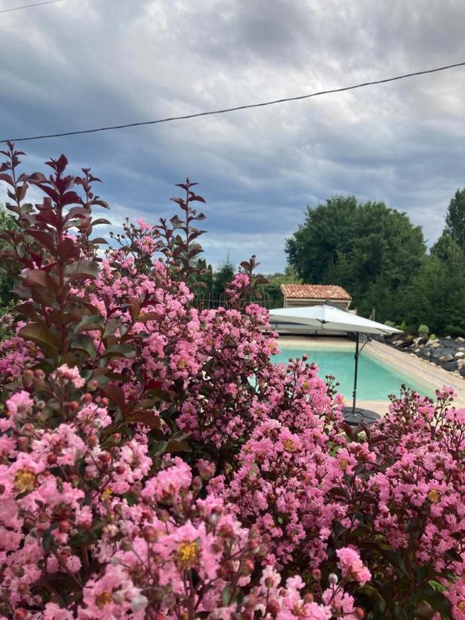 Gite Abeille-Soleil Saint-Nicolas-de-la-Grave Dış mekan fotoğraf